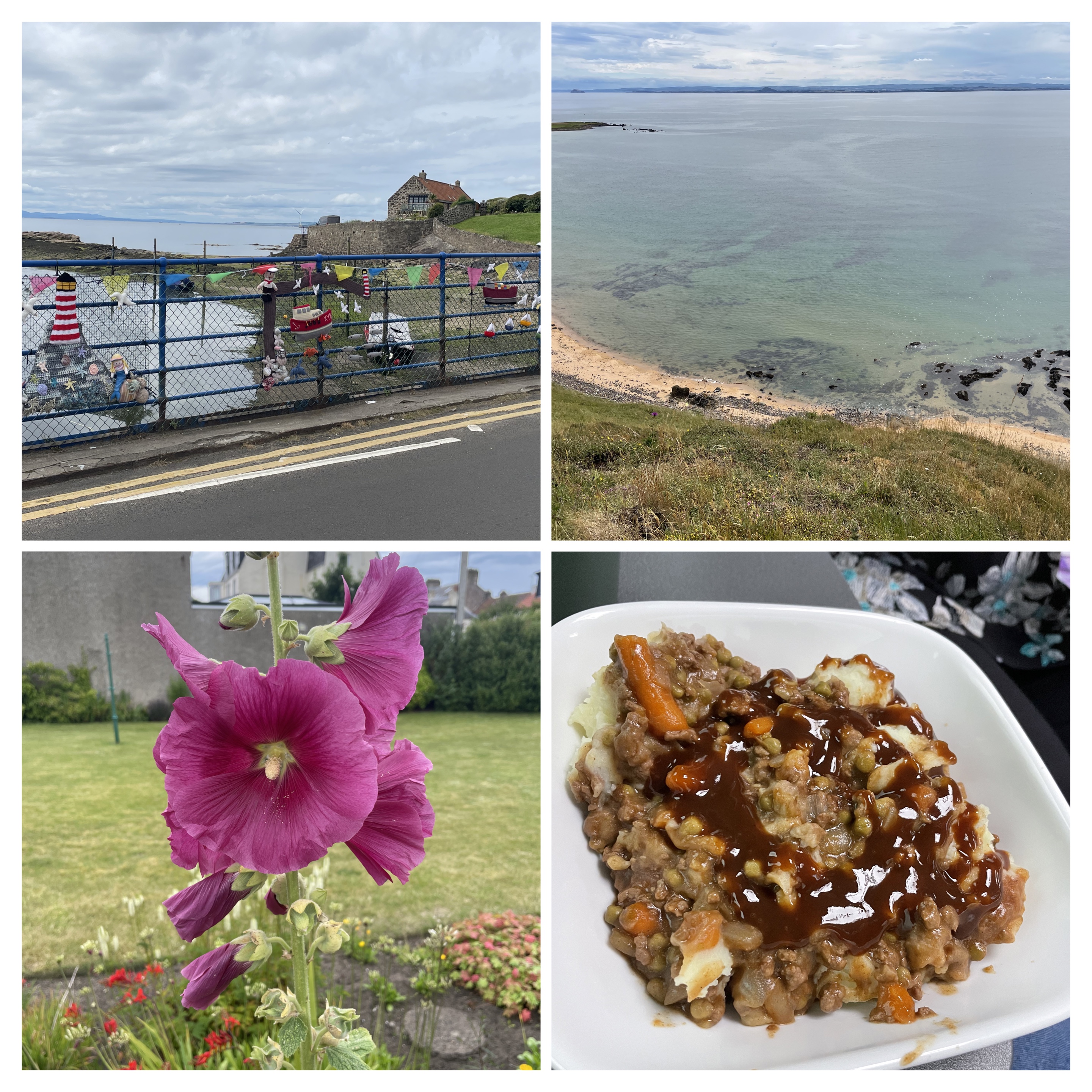 Collage of images of knitted dolls on the bridge in Lower Largo, Earlsferry beach, cottage pie and a common hollyhock