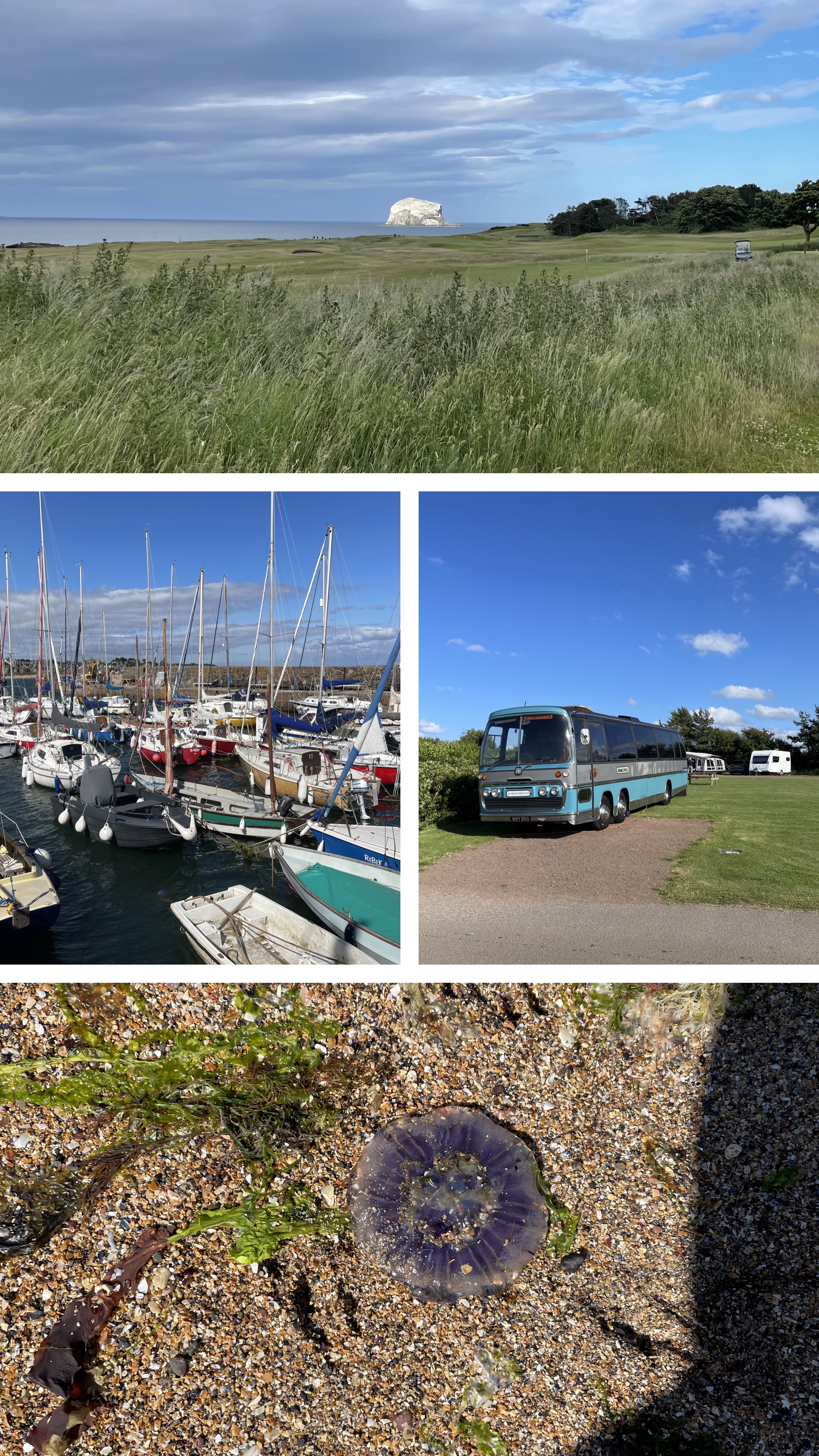 Collage of images from Tantallon and North Berwick: Bass Rock, North Berwick Harbour, a large converted bus, a blue jellyfish washed up on the beach